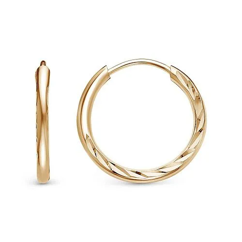 3301613-5 СЕРЬГИ