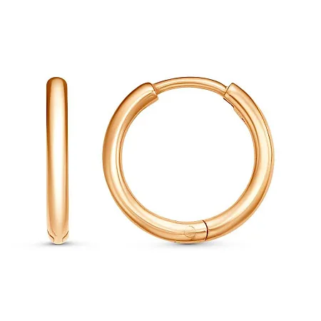 33017093 СЕРЬГИ