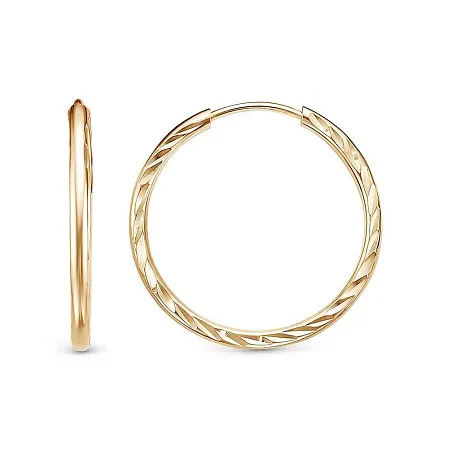 3301609-5 СЕРЬГИ