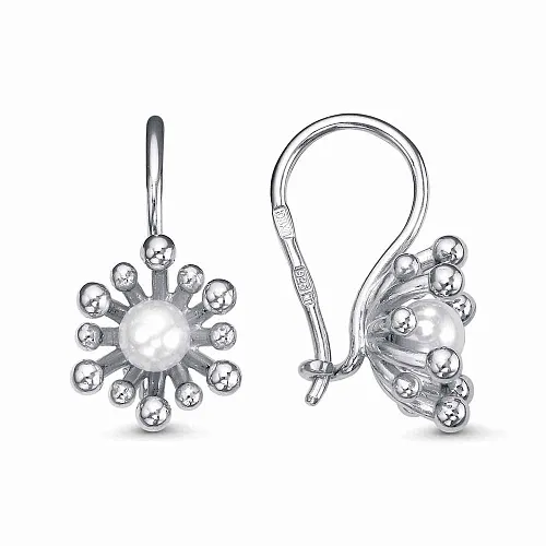 34616786ПлК СЕРЬГИ