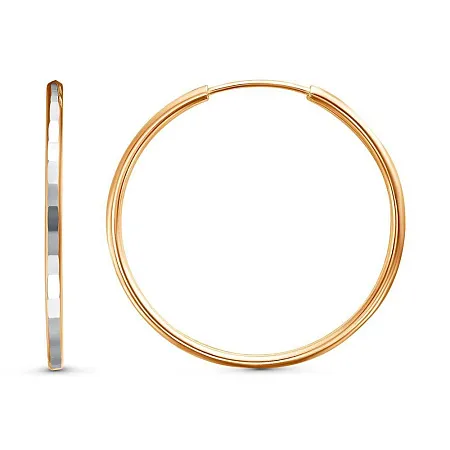 3301607-2 СЕРЬГИ