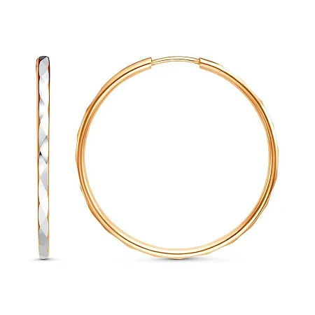 3301607-1 СЕРЬГИ