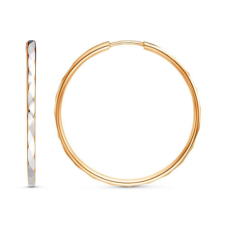 3301607-1 СЕРЬГИ