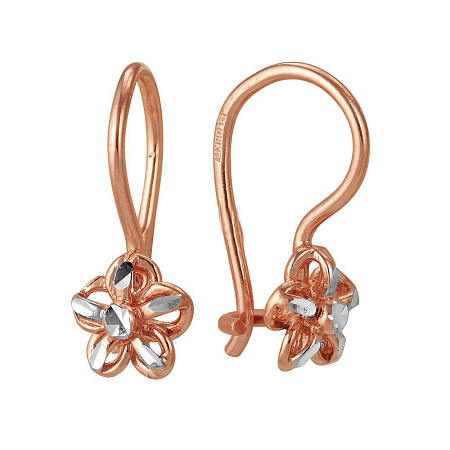 3406569-5 СЕРЬГИ