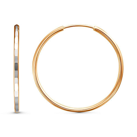 3301607-2 СЕРЬГИ