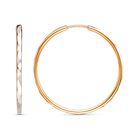 3301607-1 СЕРЬГИ