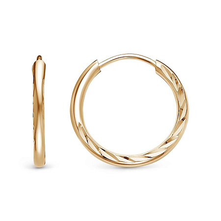 3301613-5 СЕРЬГИ